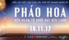 Pháo Hoa Nên Ngắm Từ Dưới Hay Bên Cạnh Giải Thích