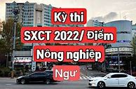 Xkld Mỹ 2022 Cần Những Gì Ạ Tiếng Hàn Là Gì Ạ